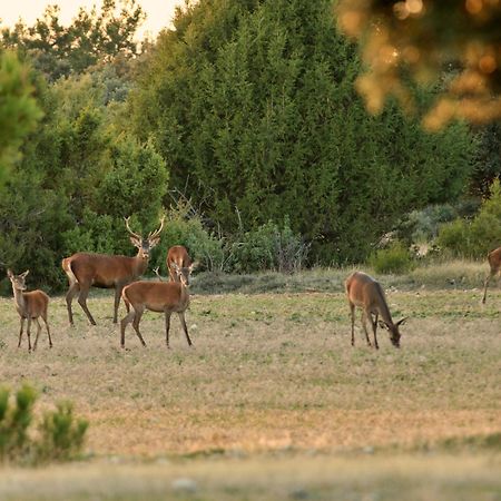 Casaguapa Alto Tajo Villa Armallones Eksteriør bilde